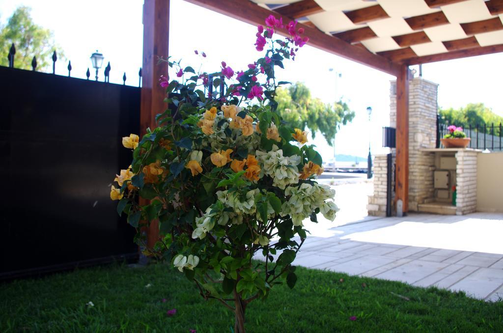 Amaryllis Holiday Home Agios Spyridon  Екстериор снимка